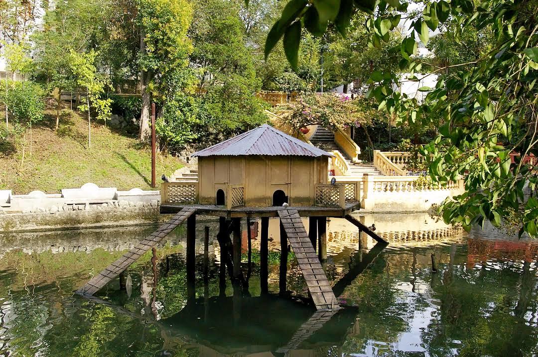 Parque Dom Pedro Infante